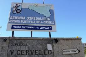 cervello_2